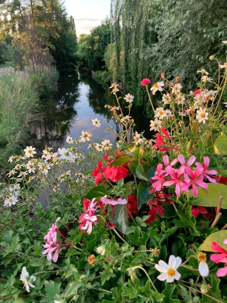 Canal VAUBAN à Muntzenheim