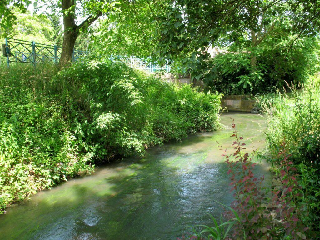 Sentier de la fouine à Muntzenheim