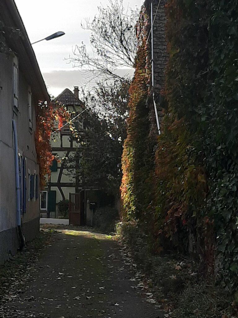 Maison Alsacienne à Muntzenheim